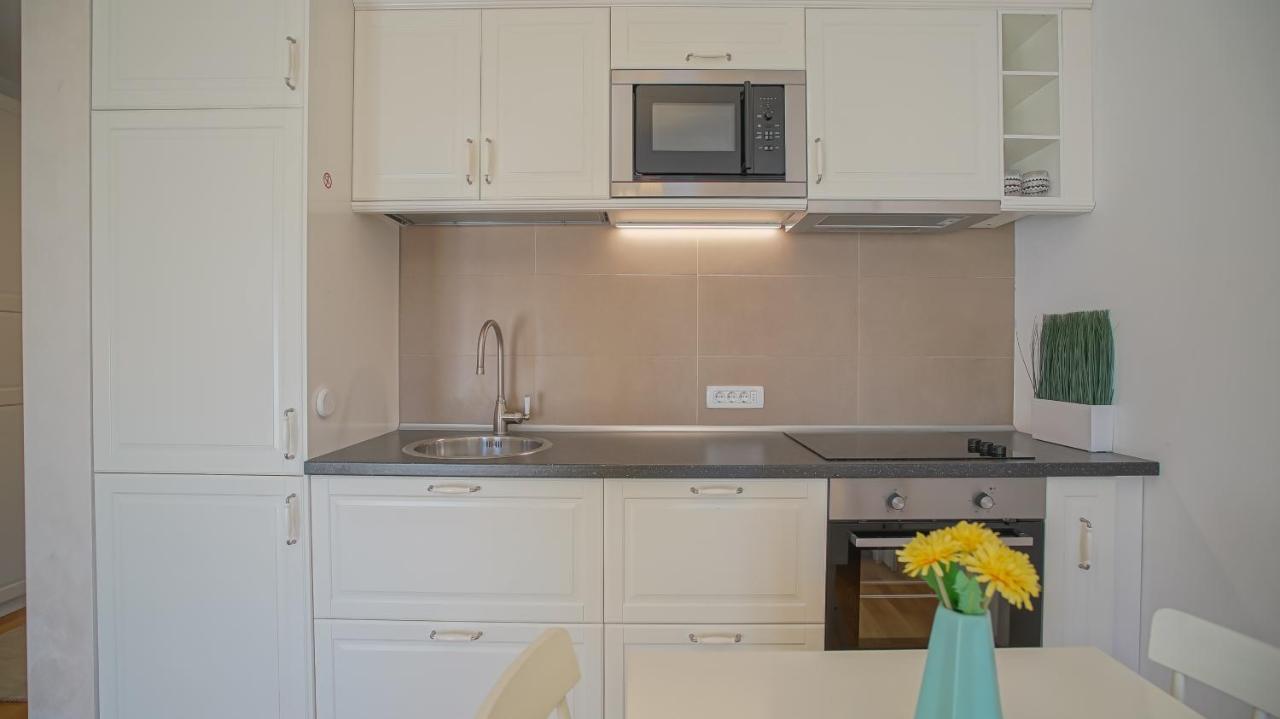 Downtown Premium Apartments Braşov Eksteriør billede